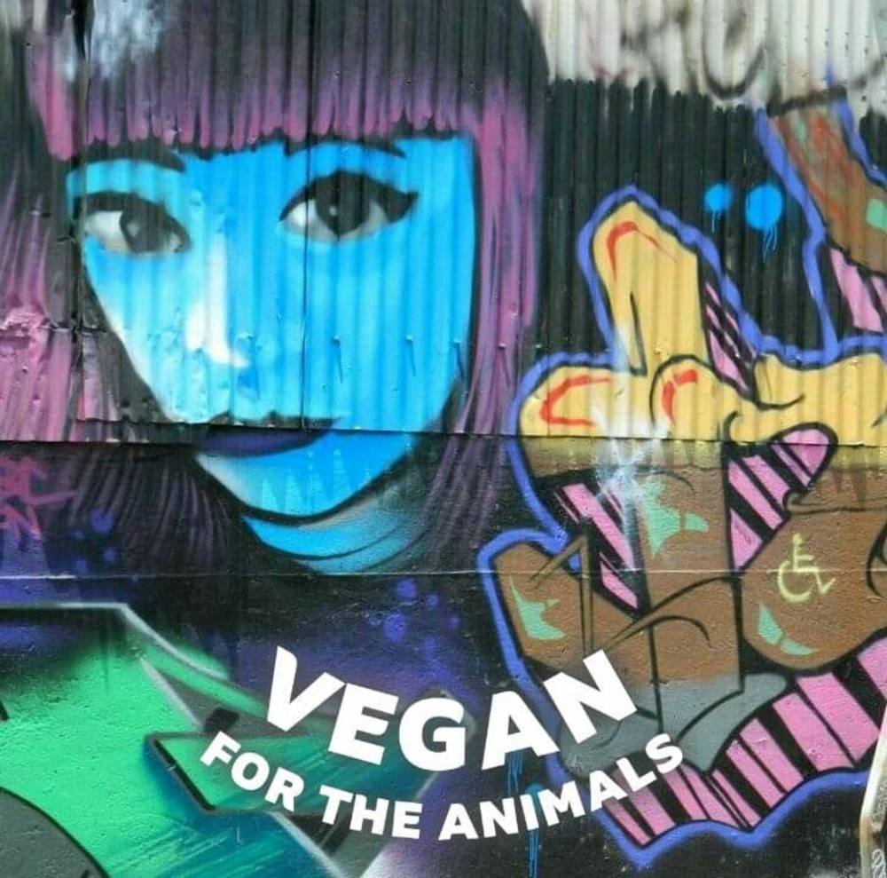 Meet your Posher, Darin